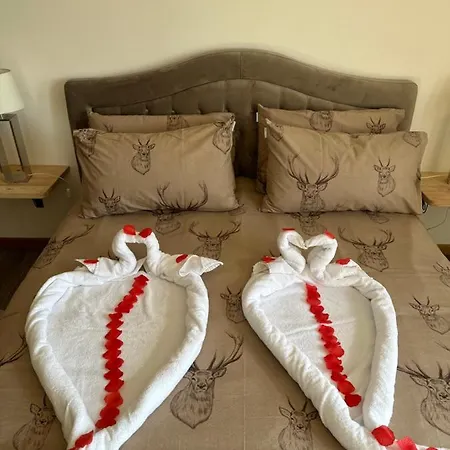 Aparthotel Residenza Riva Wellness 3*